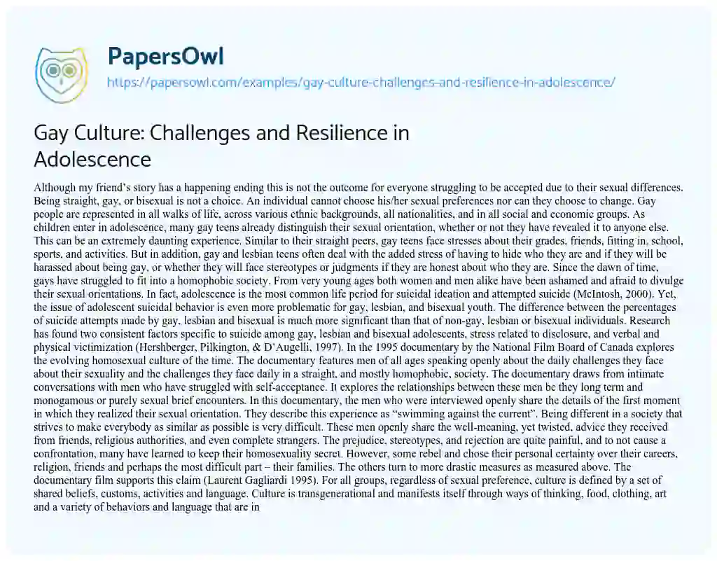 Essay on Gay Culture: Challenges and Resilience in Adolescence