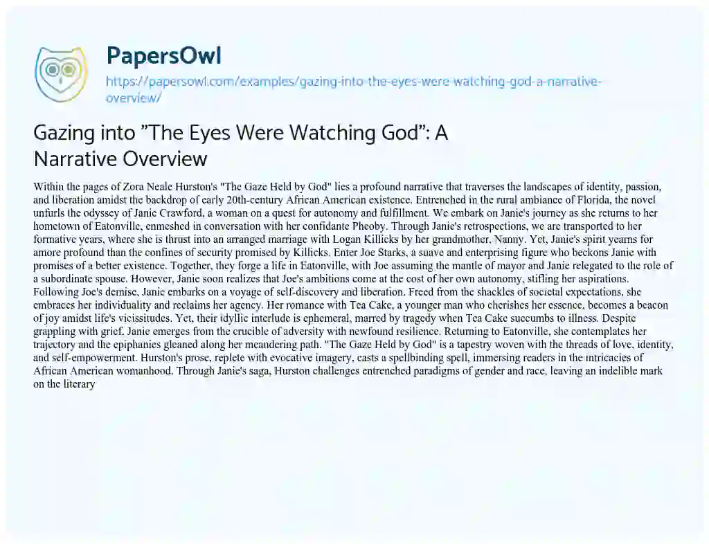 Essay on Gazing into “The Eyes were Watching God”: a Narrative Overview