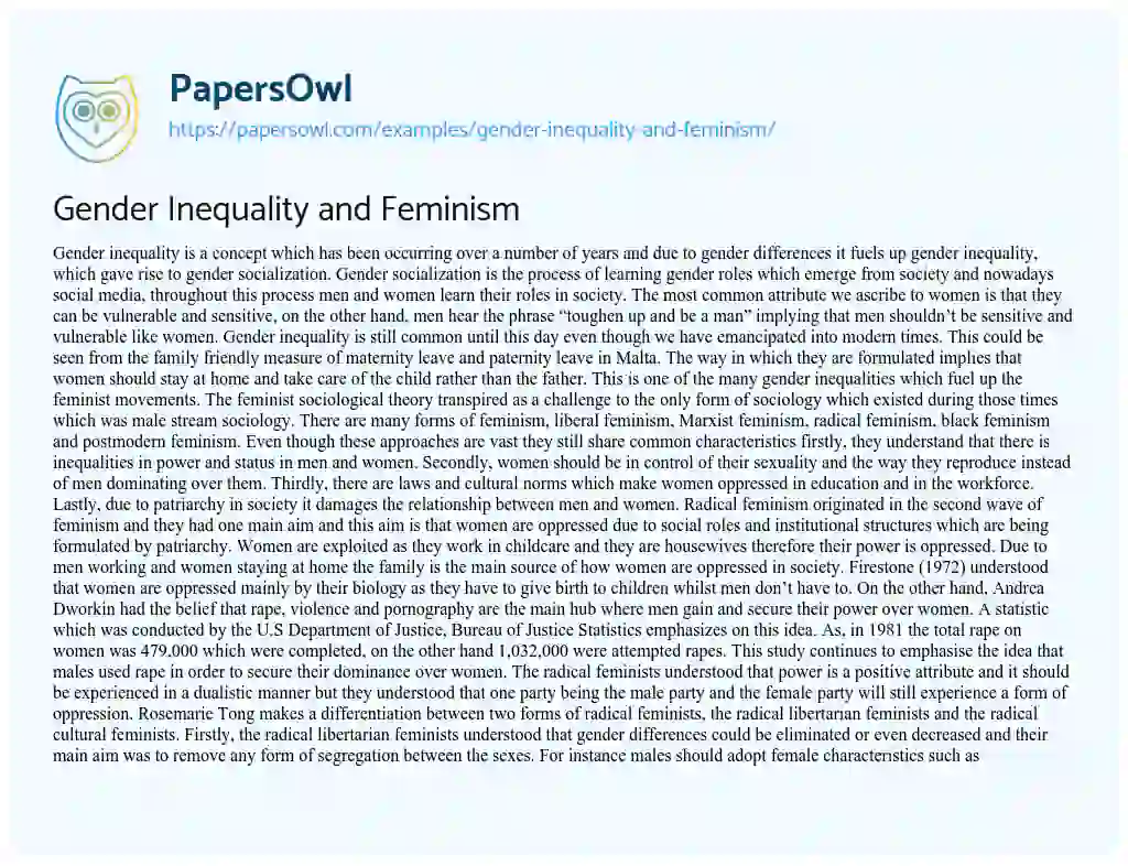 Essay on Gender Inequality and Feminism