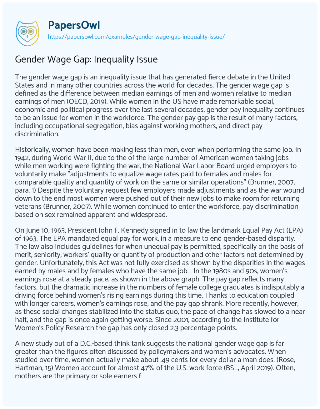 Essay on Gender Wage Gap: Inequality Issue