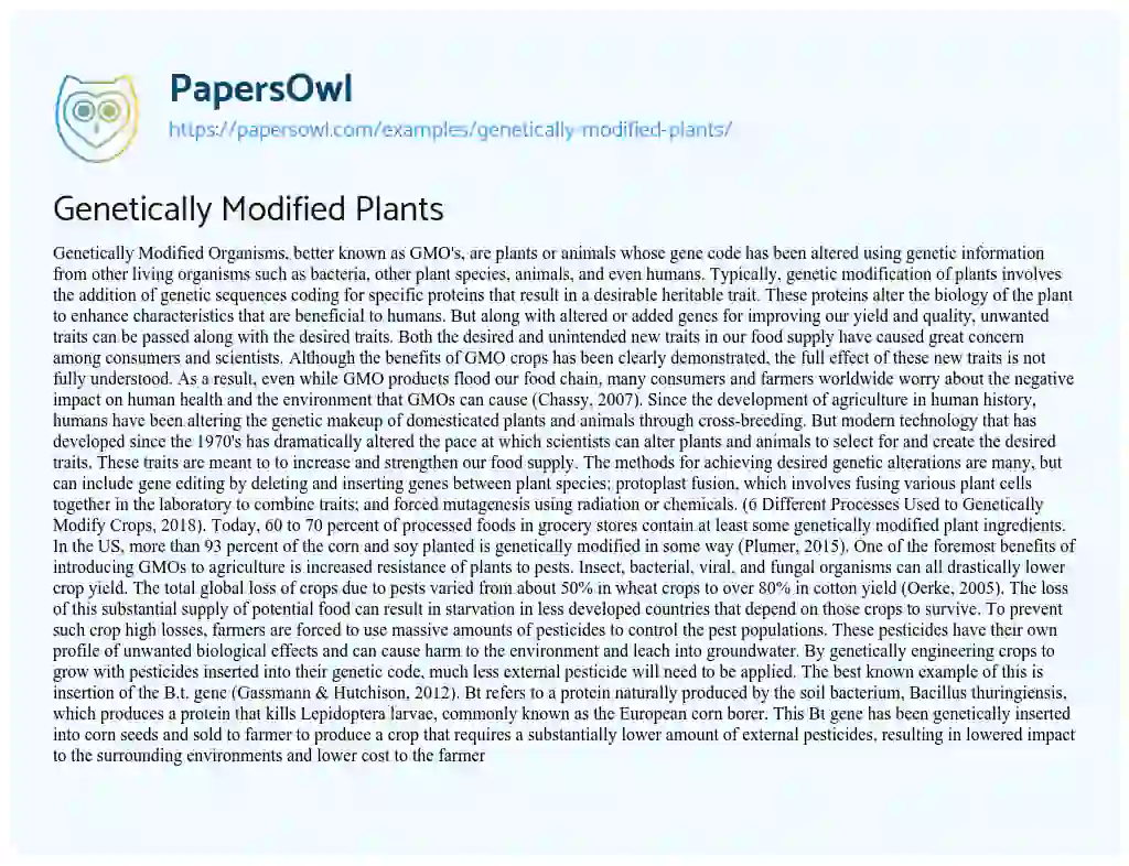Essay on Genetically Modified Plants