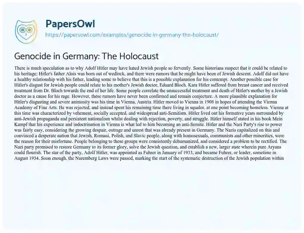 Essay on Genocide in Germany: the Holocaust