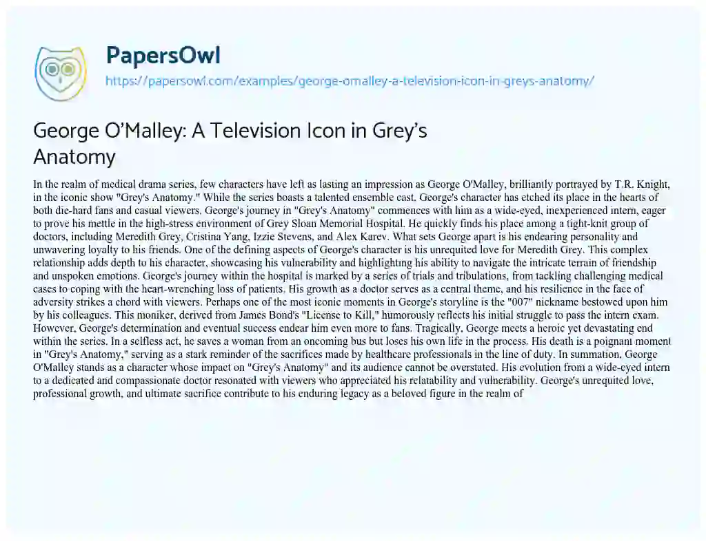 Essay on George O’Malley: a Television Icon in Grey’s Anatomy