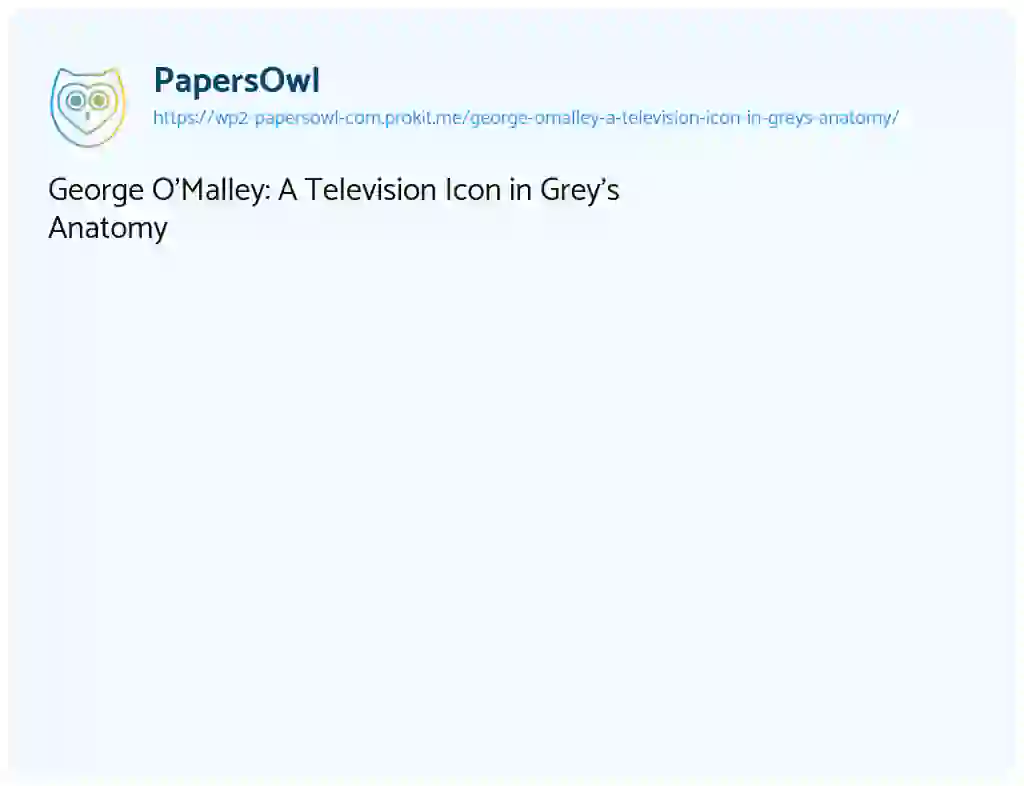 Essay on George O’Malley: A Television Icon in Grey’s Anatomy
