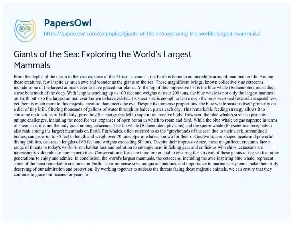 Essay on Giants of the Sea: Exploring the World’s Largest Mammals