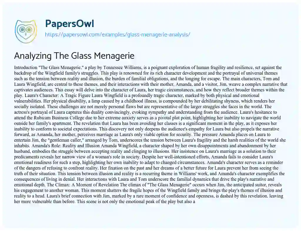 Essay on Glass Menagerie Analysis