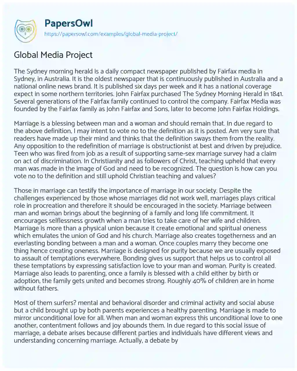 Global Media Project essay