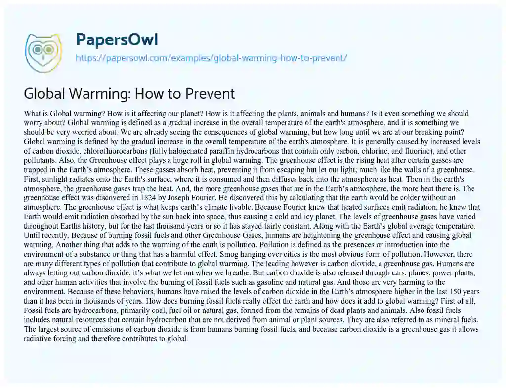 Essay on Global Warming: how to Prevent
