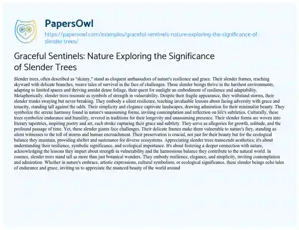 Essay on Graceful Sentinels: Nature Exploring the Significance of Slender Trees