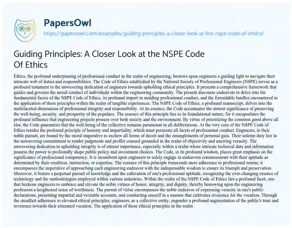 Essay on Guiding Principles: a Closer Look at the NSPE Code of Ethics