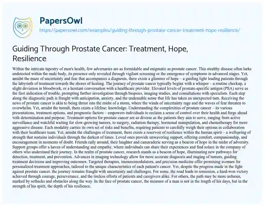 Essay on Guiding through Prostate Cancer: Treatment, Hope, Resilience