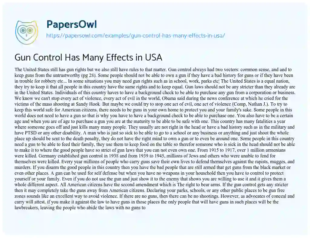 Essay on Gun Control has Many Effects in USA