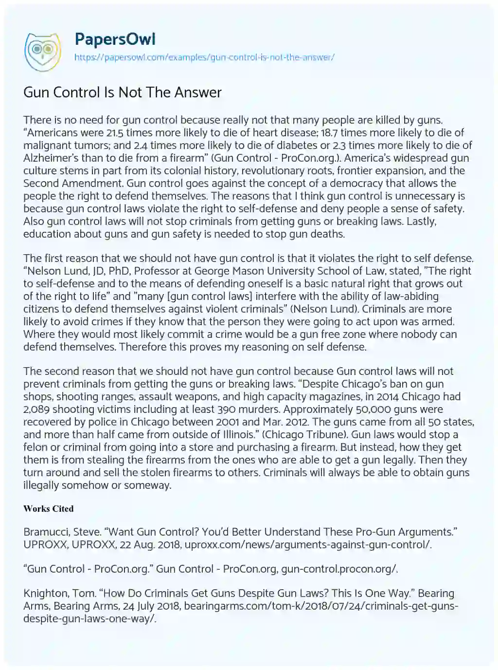 Gun Control is not the Answer essay