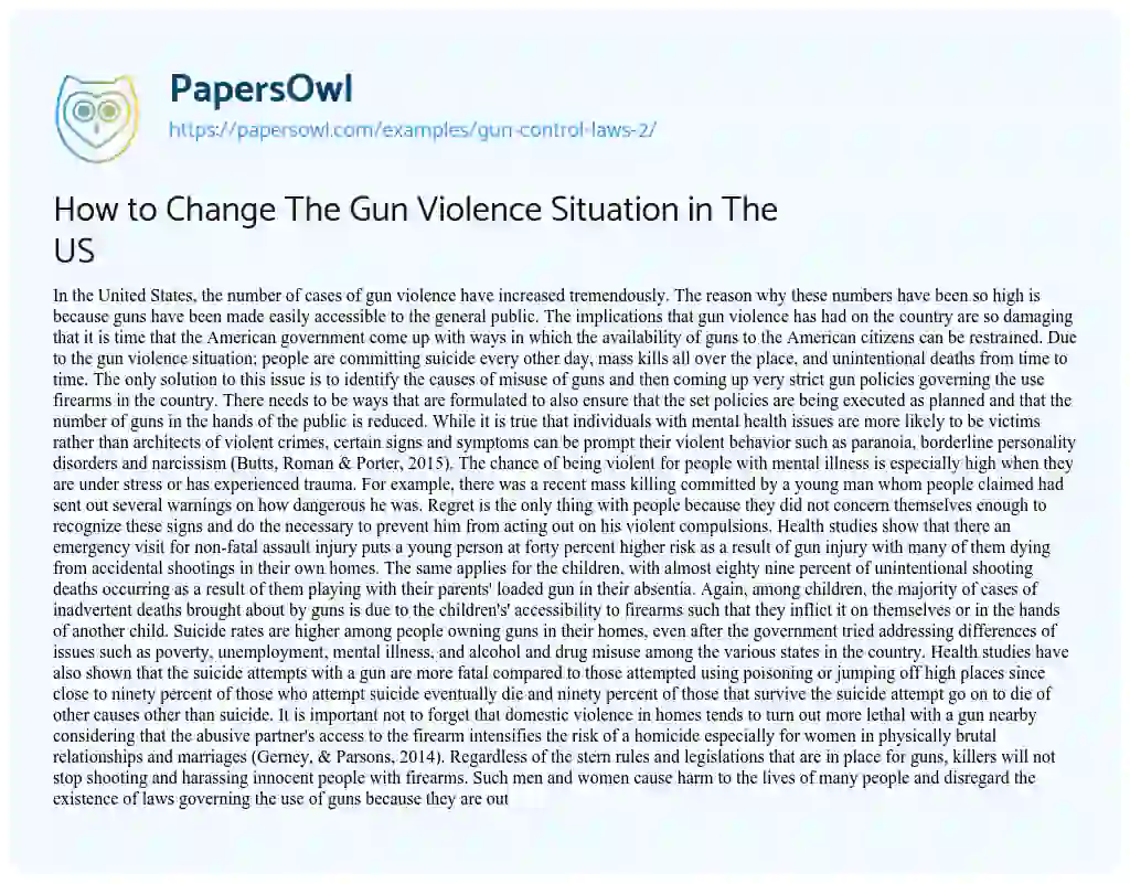 Essay on How to Change the Gun Violence Situation in the US