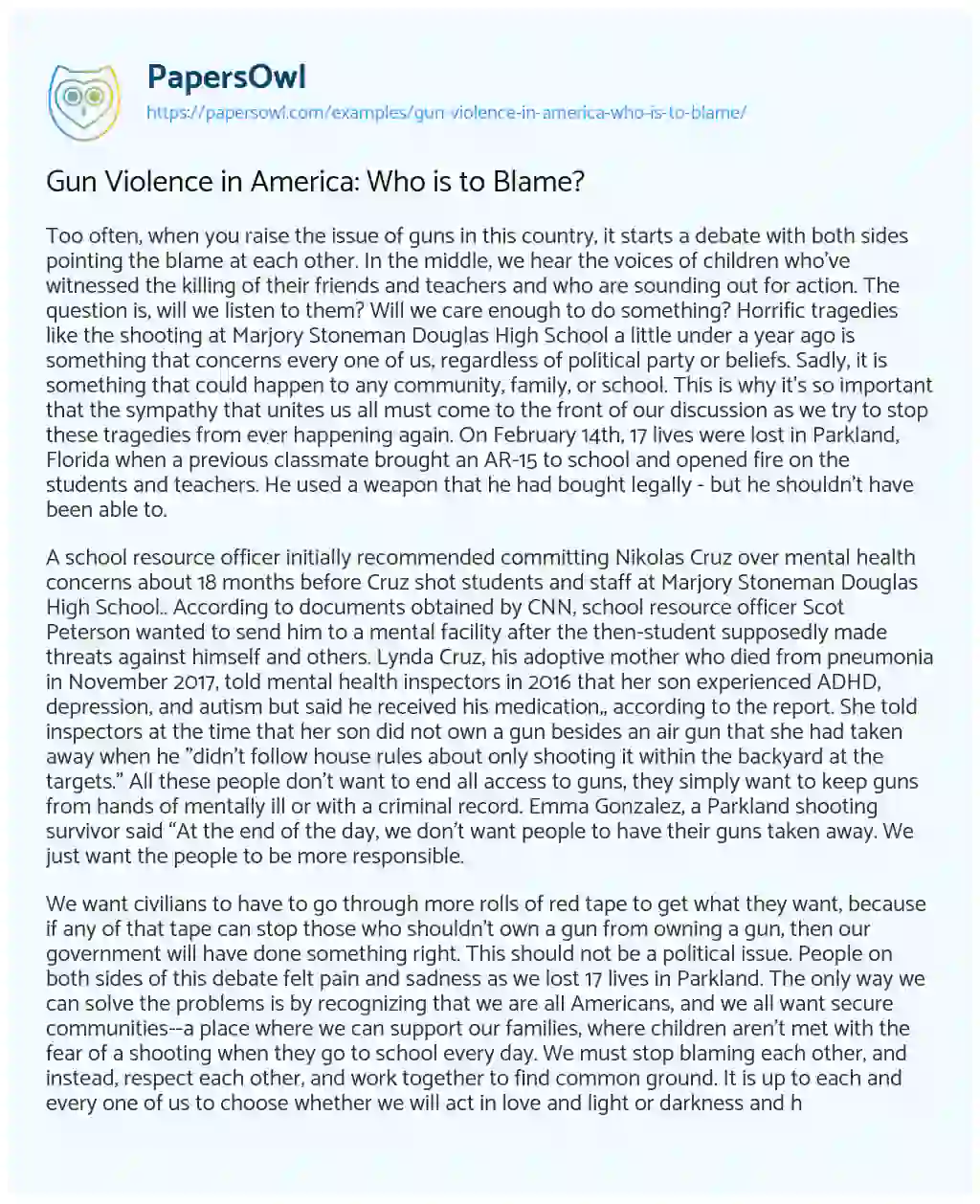 Gun Violence in America: who is to Blame? essay