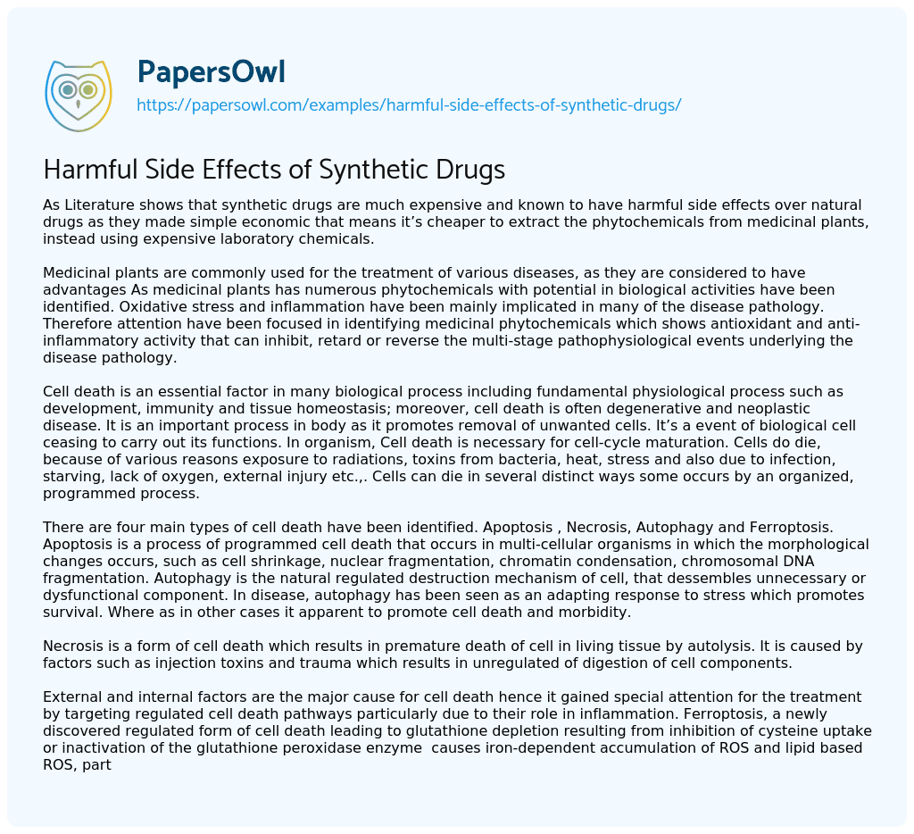 Essay on Harmful Side Effects of Synthetic Drugs