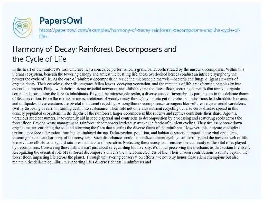 Essay on Harmony of Decay: Rainforest Decomposers and the Cycle of Life