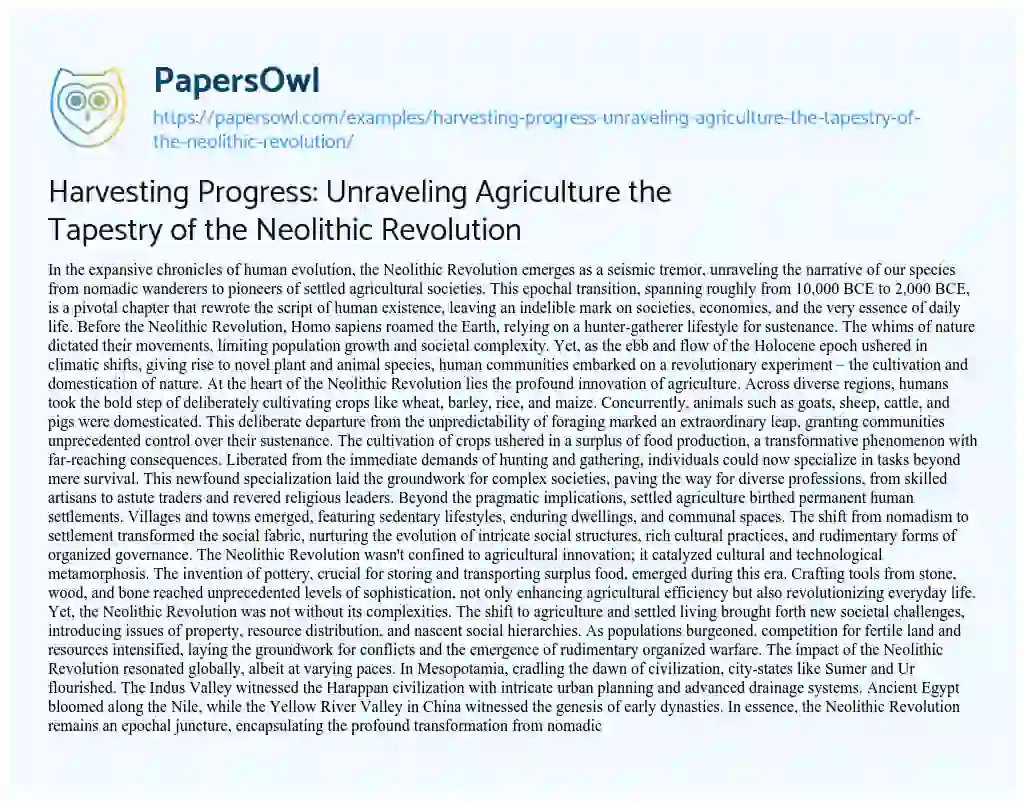Essay on Harvesting Progress: Unraveling Agriculture the Tapestry of the Neolithic Revolution