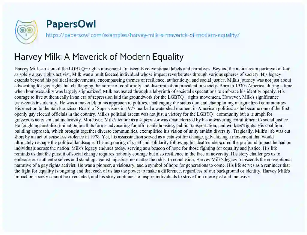 Essay on Harvey Milk: a Maverick of Modern Equality