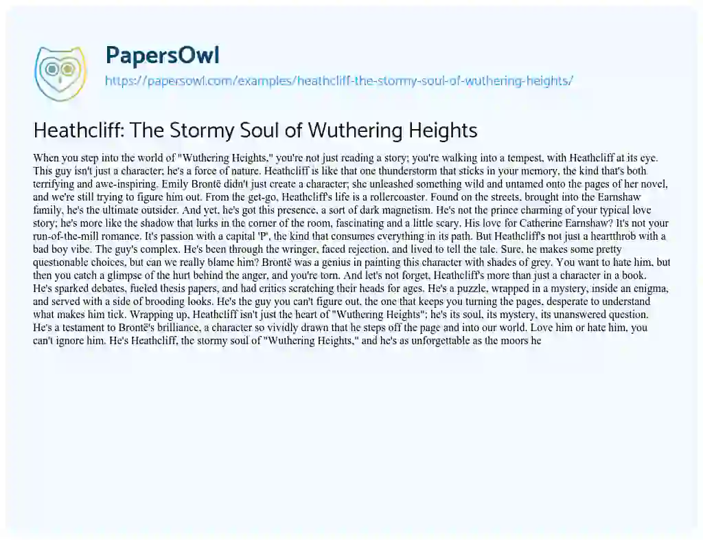 Essay on Heathcliff: the Stormy Soul of Wuthering Heights