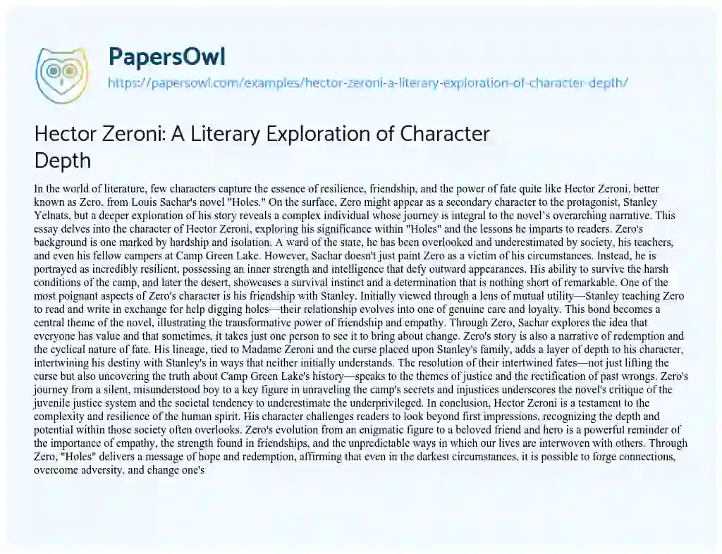 Essay on Hector Zeroni: a Literary Exploration of Character Depth