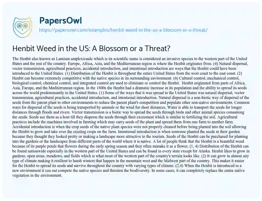 Essay on Henbit Weed in the US: a Blossom or a Threat?