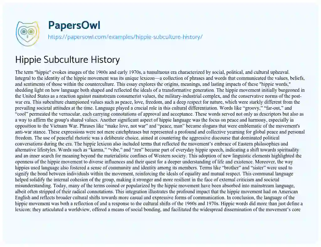Essay on Hippie Subculture History
