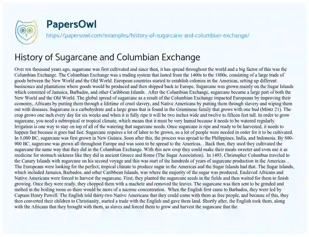 Essay on History of Sugarcane and Columbian Exchange