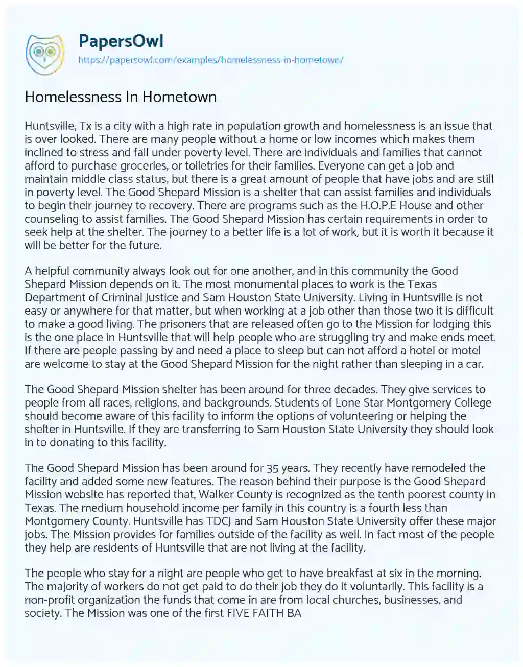 Essay on Homelessness in Hometown