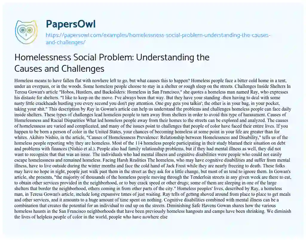 Essay on Homelessness Social Problem: Understanding the Causes and Challenges