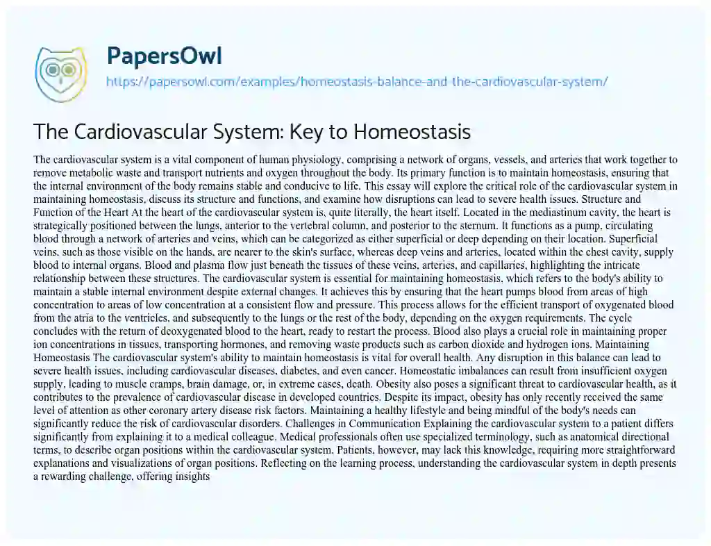 Essay on Homeostasis Balance and the Cardiovascular System