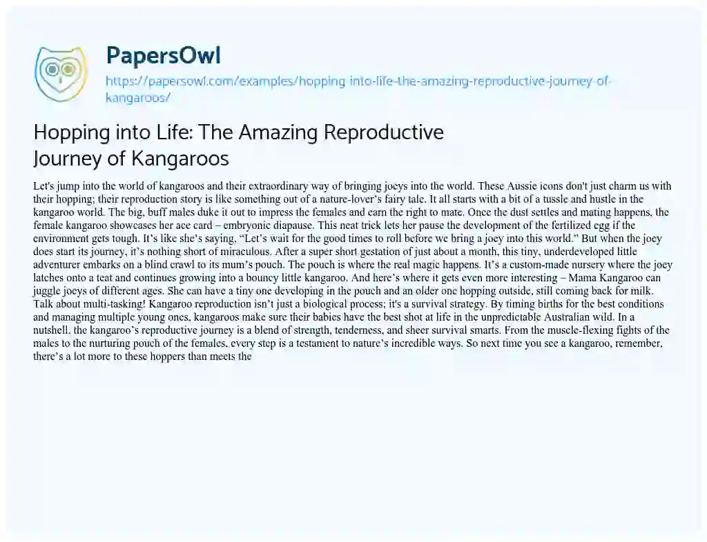 Essay on Hopping into Life: the Amazing Reproductive Journey of Kangaroos