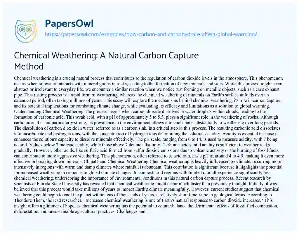 Essay on How Carbon and Carbohydrate Affect Global Warming