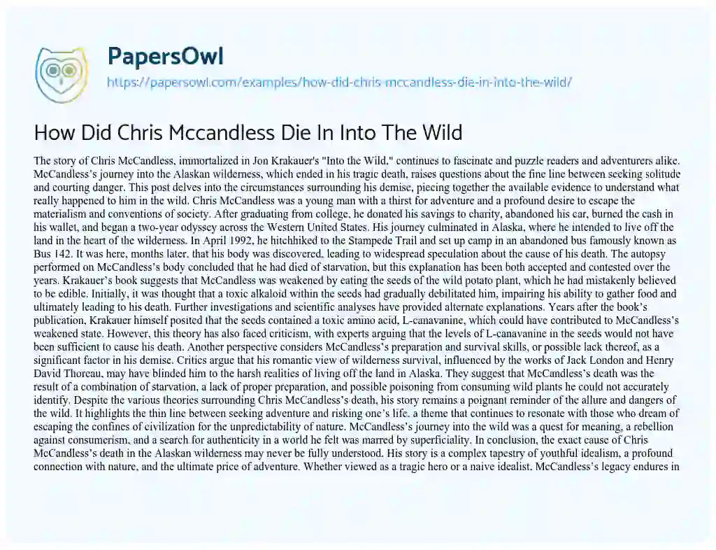 Essay on How did Chris Mccandless Die in into the Wild