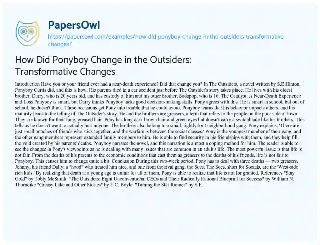 Essay on How did Ponyboy Change in the Outsiders: Transformative Changes
