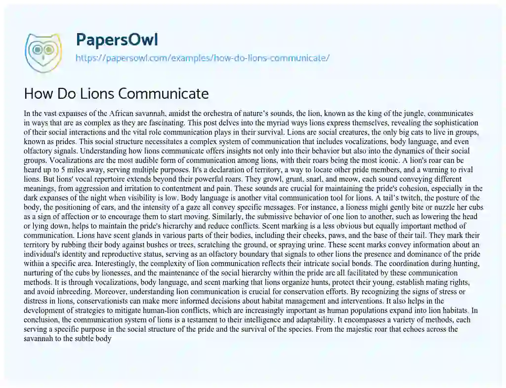 Essay on How do Lions Communicate