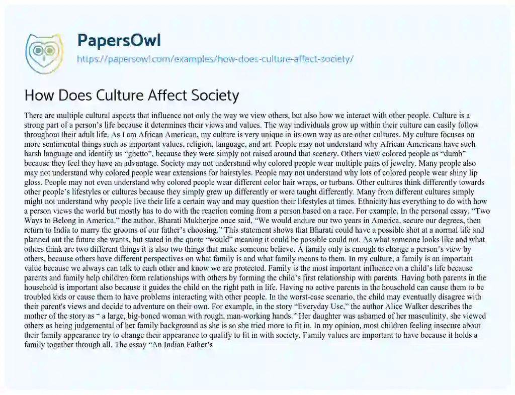 Essay on How does Culture Affect Society
