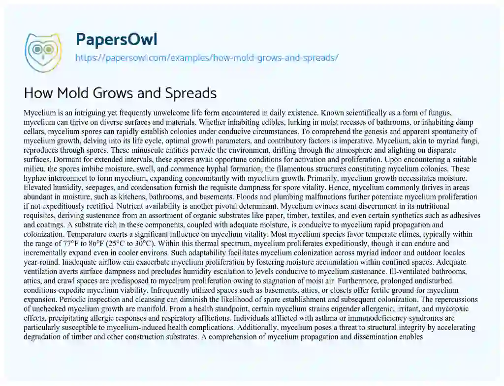 Essay on How Mold Grows and Spreads
