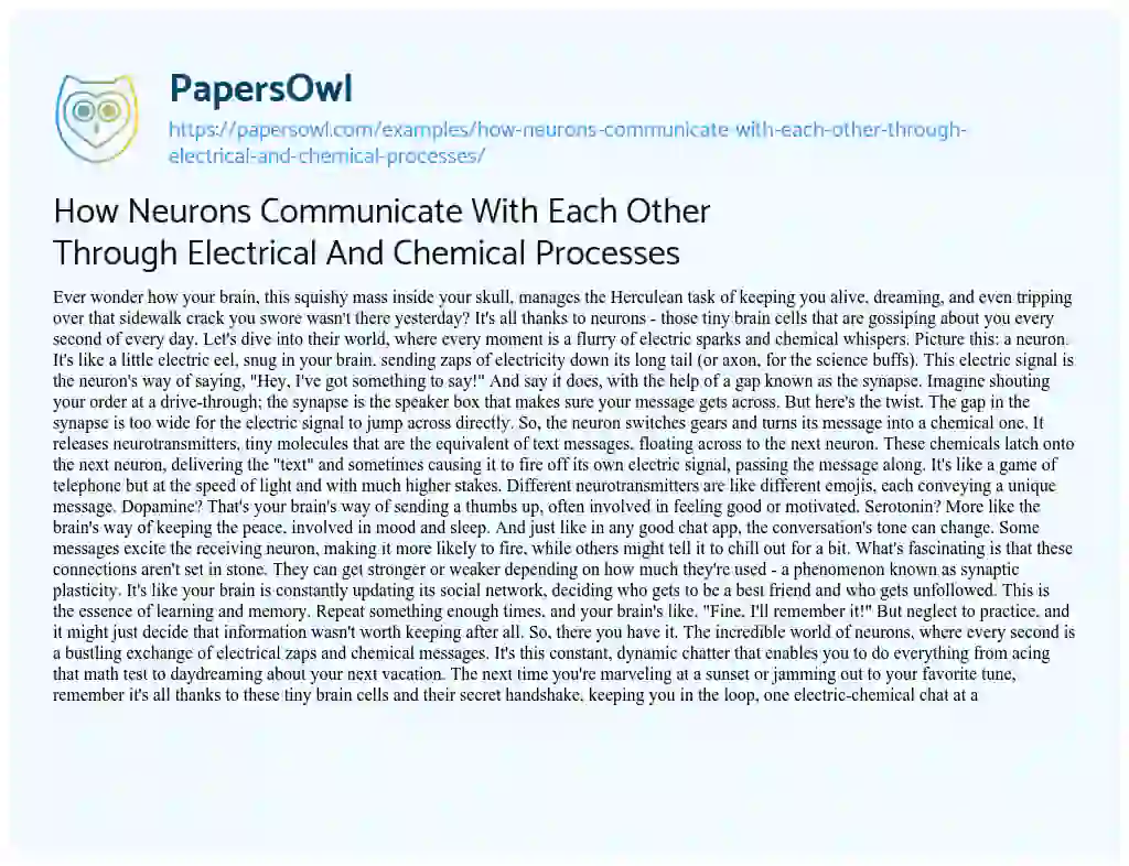 Essay on How Neurons Communicate with each other through Electrical and Chemical Processes