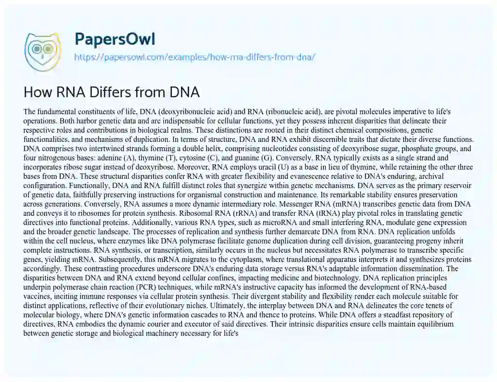 Essay on How RNA Differs from DNA