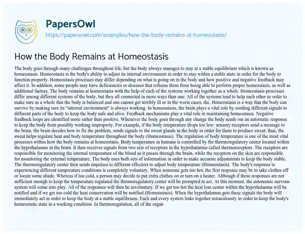 Essay on How the Body Remains at Homeostasis