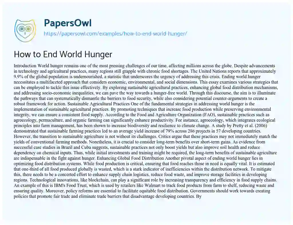 Essay on How to End World Hunger