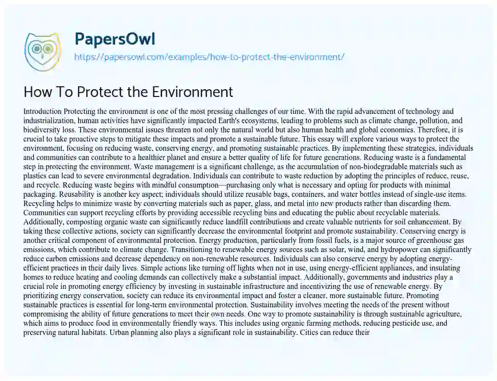 Essay on How To Protect the Environment