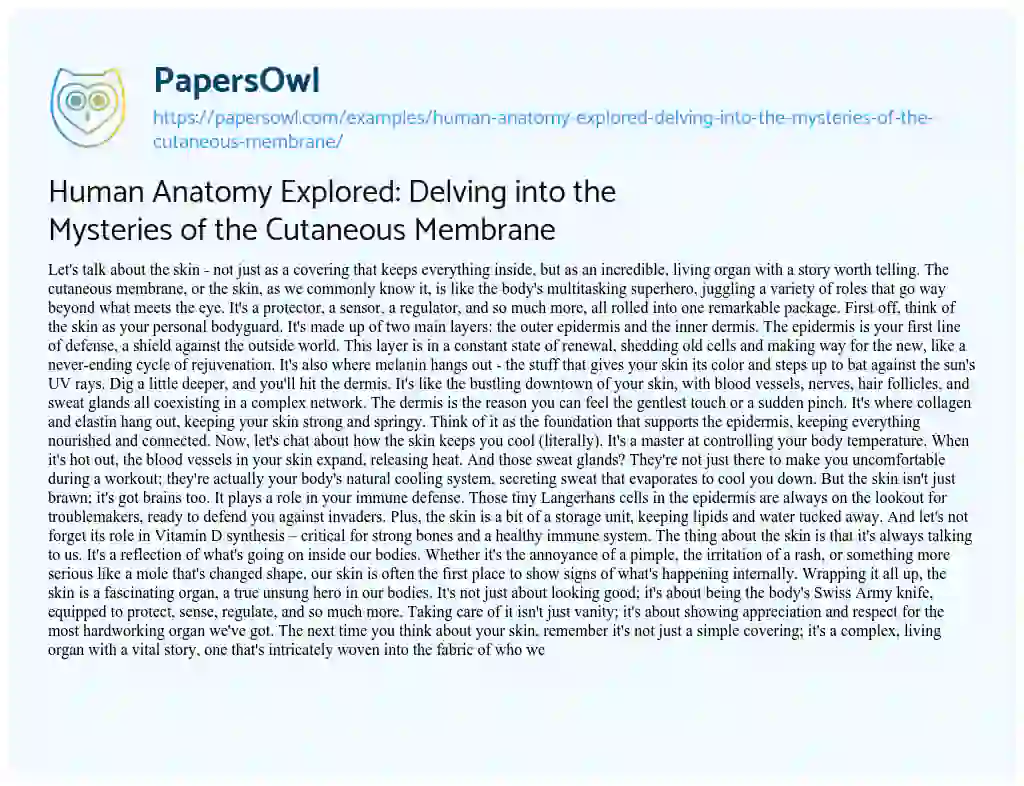 Essay on Human Anatomy Explored: Delving into the Mysteries of the Cutaneous Membrane