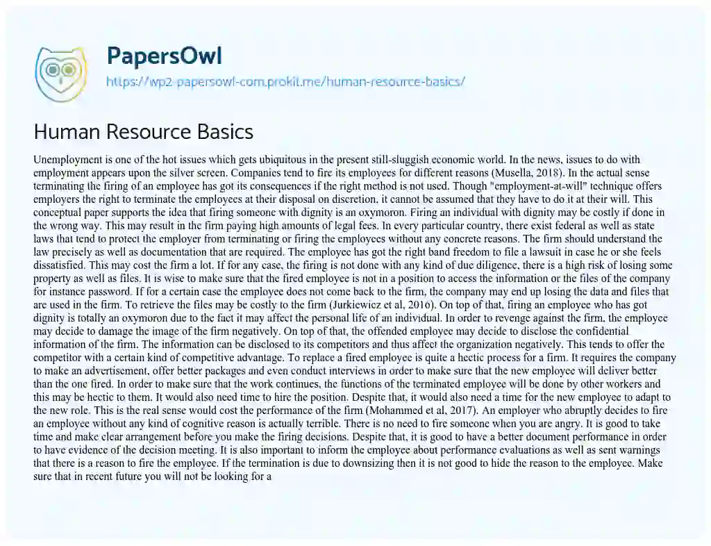 Essay on Human Resource Basics