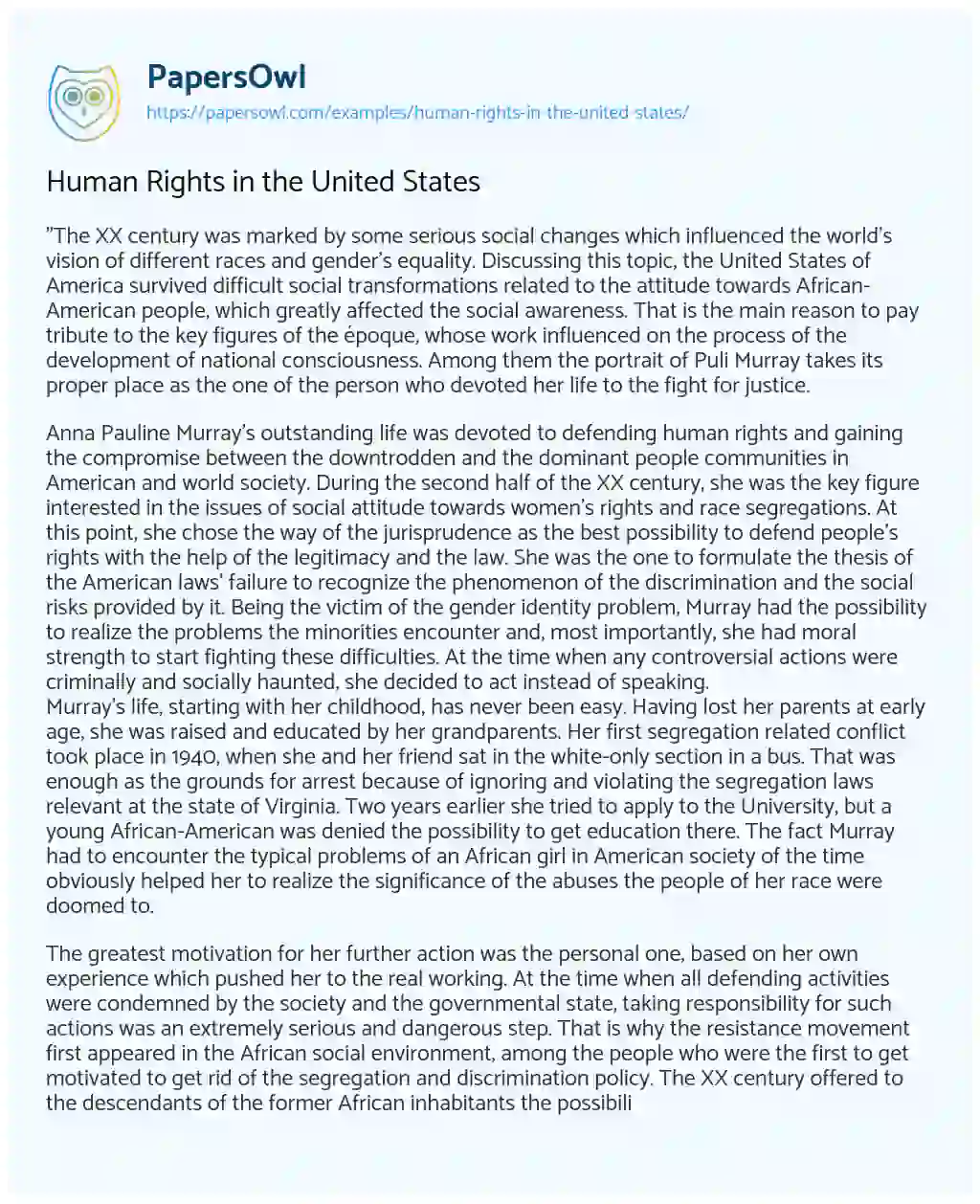 Human Rights in the United States essay