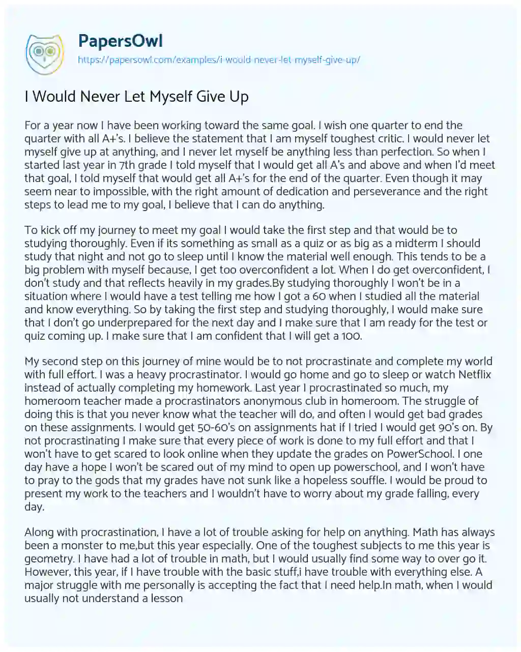 I would Never Let myself Give up essay