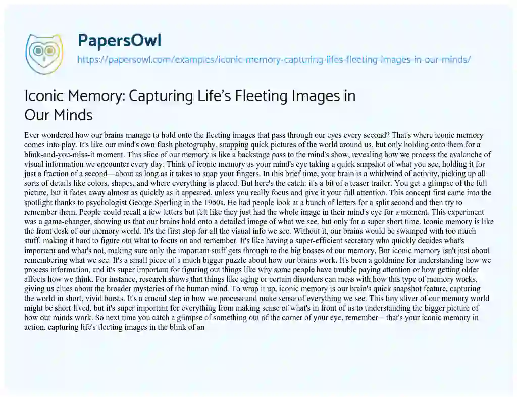 Essay on Iconic Memory: Capturing Life’s Fleeting Images in our Minds