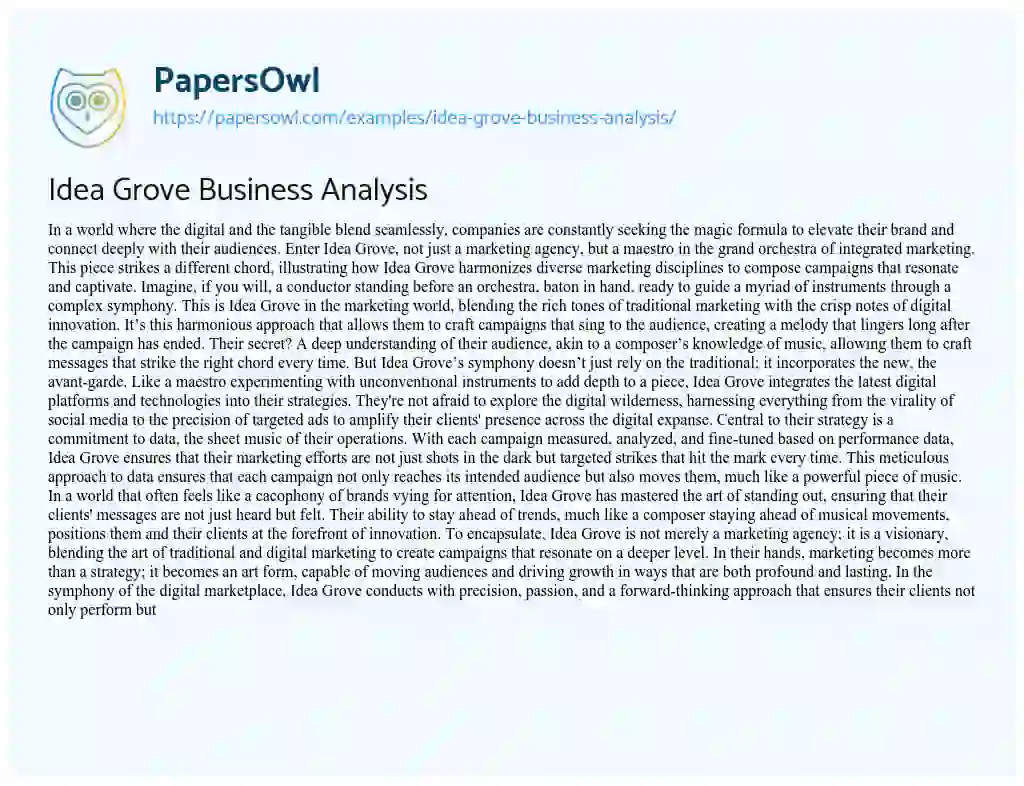 Essay on Idea Grove Business Analysis