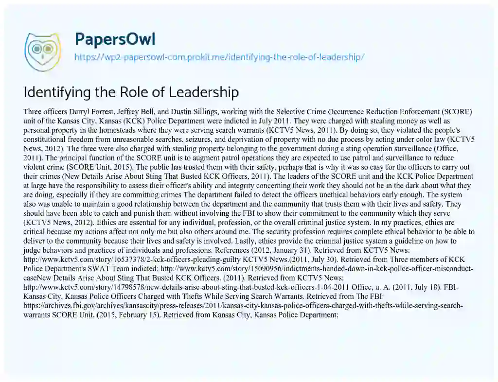 Essay on Identifying the Role of Leadership